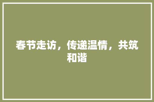 春节走访，传递温情，共筑和谐