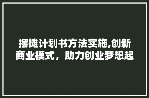 摆摊计划书方法实施,创新商业模式，助力创业梦想起飞