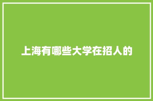 上海有哪些大学在招人的
