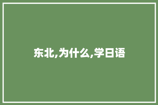 东北,为什么,学日语
