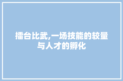 擂台比武,一场技能的较量与人才的孵化