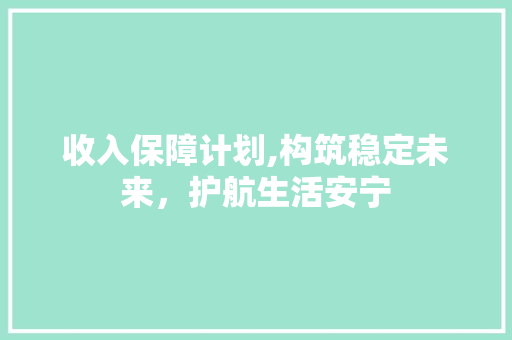 收入保障计划,构筑稳定未来，护航生活安宁
