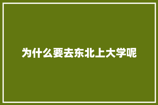 为什么要去东北上大学呢