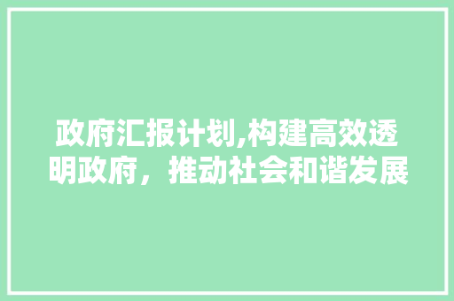 政府汇报计划,构建高效透明政府，推动社会和谐发展