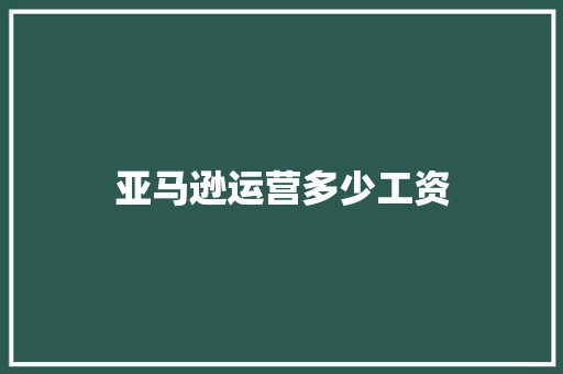 亚马逊运营多少工资