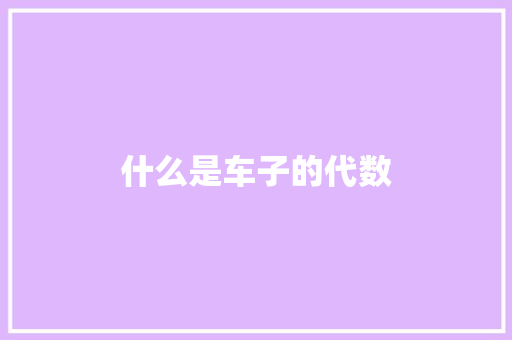 什么是车子的代数