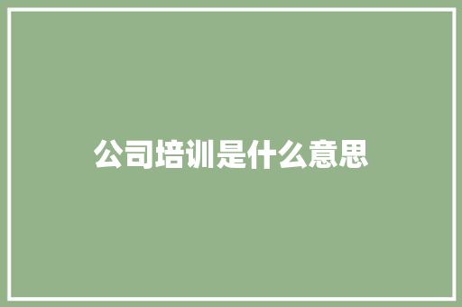 公司培训是什么意思