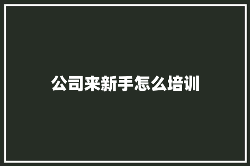 公司来新手怎么培训