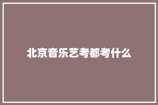 北京音乐艺考都考什么
