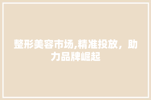 整形美容市场,精准投放，助力品牌崛起