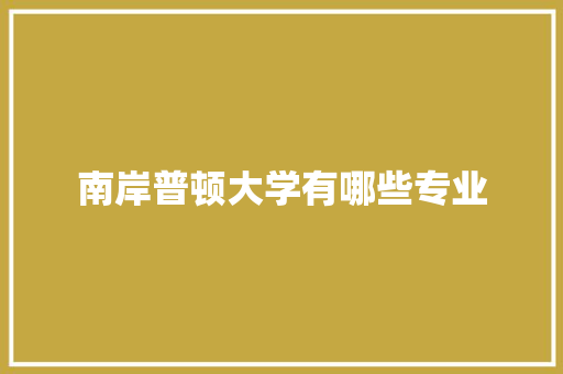 南岸普顿大学有哪些专业