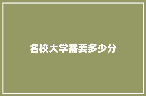 名校大学需要多少分