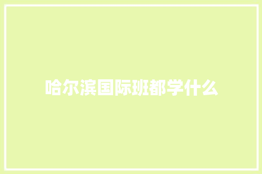 哈尔滨国际班都学什么