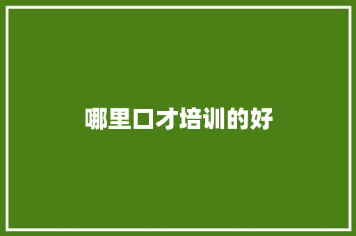 哪里口才培训的好