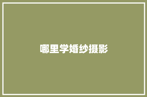 哪里学婚纱摄影