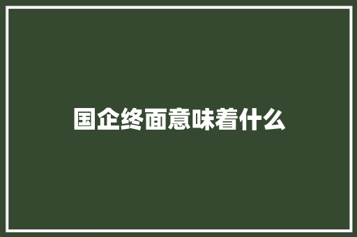 国企终面意味着什么