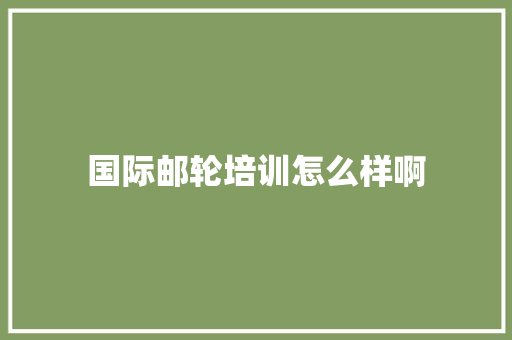 国际邮轮培训怎么样啊