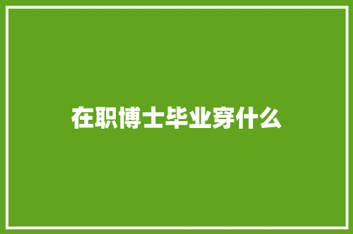 在职博士毕业穿什么