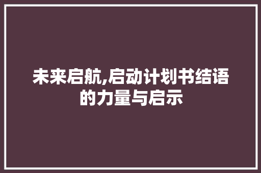 未来启航,启动计划书结语的力量与启示