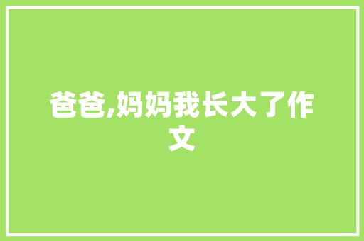 2025保险专业国内大学排名
