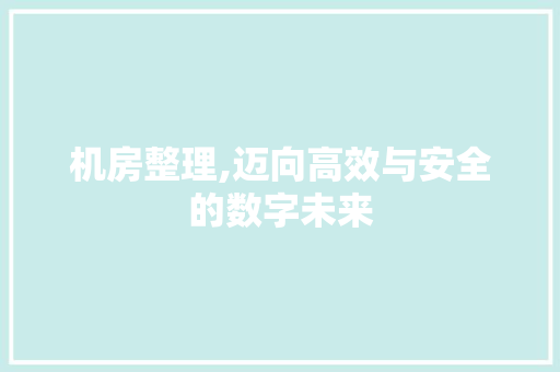 机房整理,迈向高效与安全的数字未来