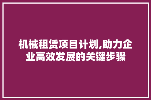 机械租赁项目计划,助力企业高效发展的关键步骤 工作计划