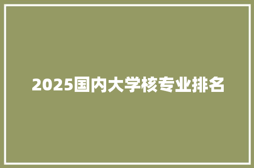 2025国内大学核专业排名