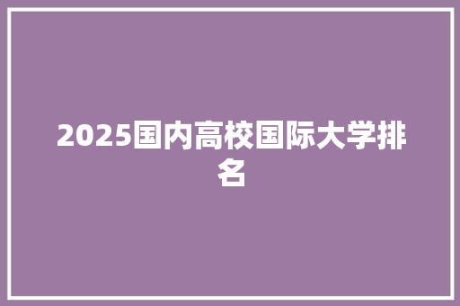 2025国内高校国际大学排名