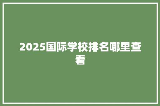 2025国际学校排名哪里查看