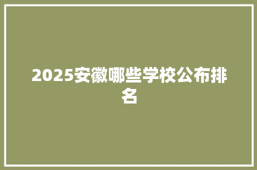 2025安徽哪些学校公布排名