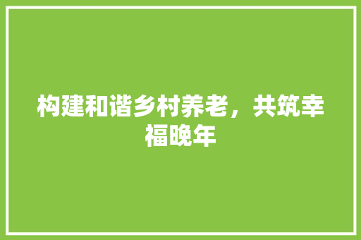 构建和谐乡村养老，共筑幸福晚年