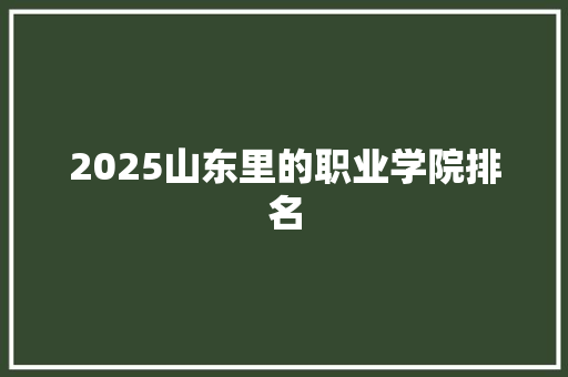 2025山东里的职业学院排名
