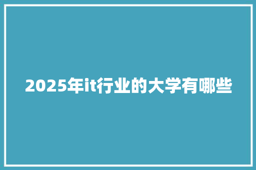 2025年it行业的大学有哪些