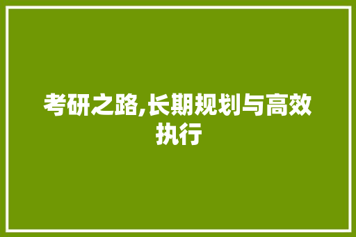 考研之路,长期规划与高效执行