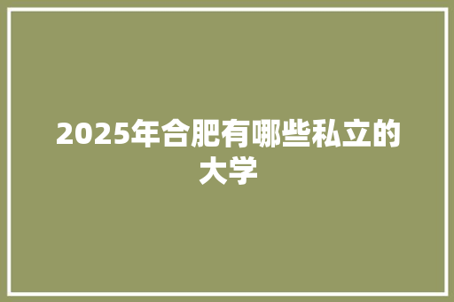 2025年合肥有哪些私立的大学