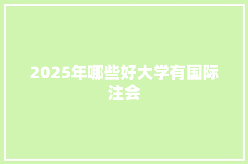 2025年哪些好大学有国际注会