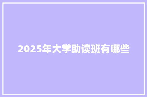 2025年大学助读班有哪些
