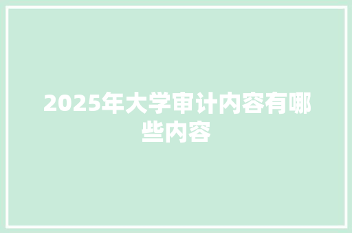 2025年大学审计内容有哪些内容