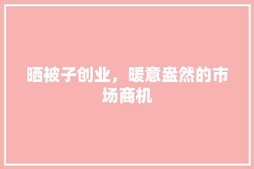 晒被子创业，暖意盎然的市场商机