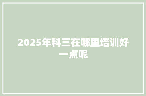 2025年科三在哪里培训好一点呢