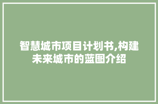 智慧城市项目计划书,构建未来城市的蓝图介绍