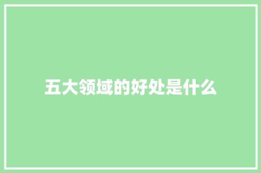 五大领域的好处是什么