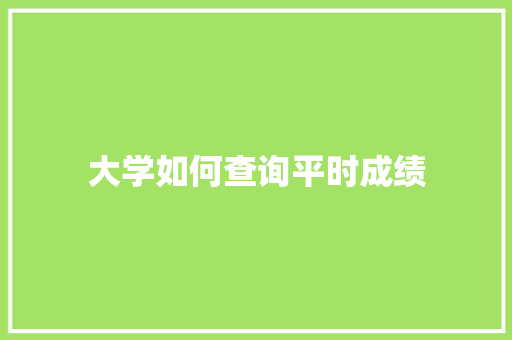 大学如何查询平时成绩
