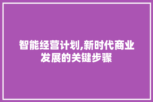 智能经营计划,新时代商业发展的关键步骤