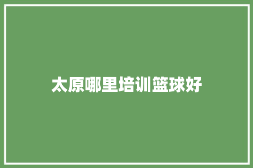 太原哪里培训篮球好