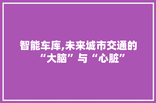 智能车库,未来城市交通的“大脑”与“心脏”