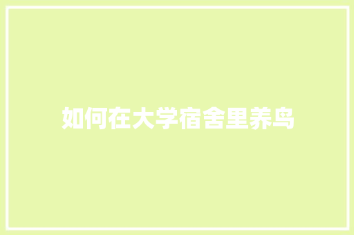 如何在大学宿舍里养鸟
