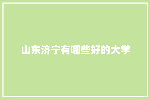 山东济宁有哪些好的大学