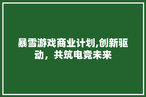 暴雪游戏商业计划,创新驱动，共筑电竞未来