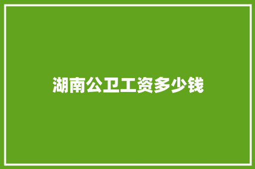 湖南公卫工资多少钱